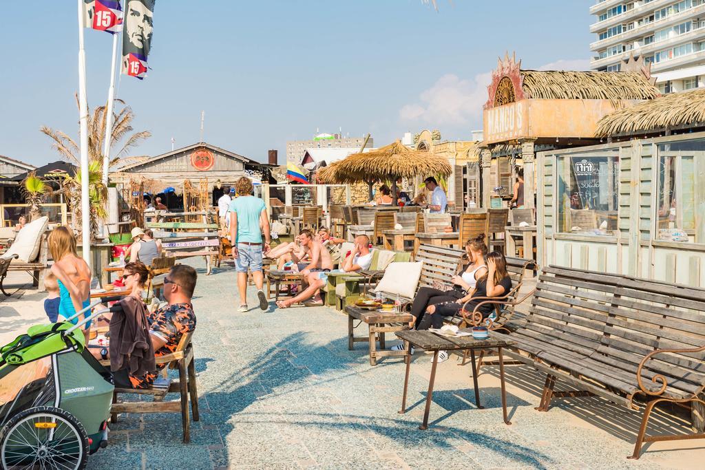 Cute Beach House Zandvoort Kültér fotó
